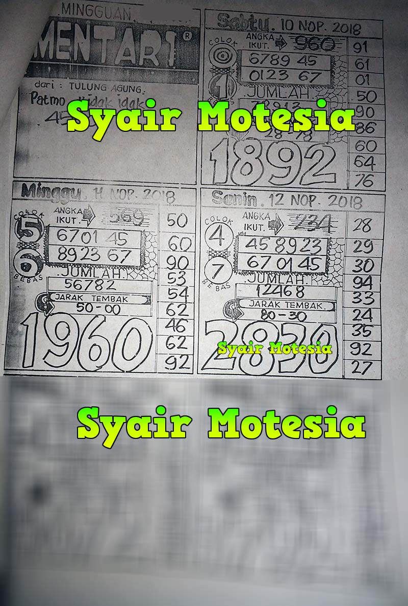 Syair Mentari Sgp – Guru