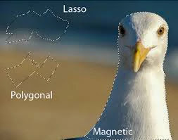 Photoshop-CC-Lasso-Tool Photoshop-CC-Lasso-Tool