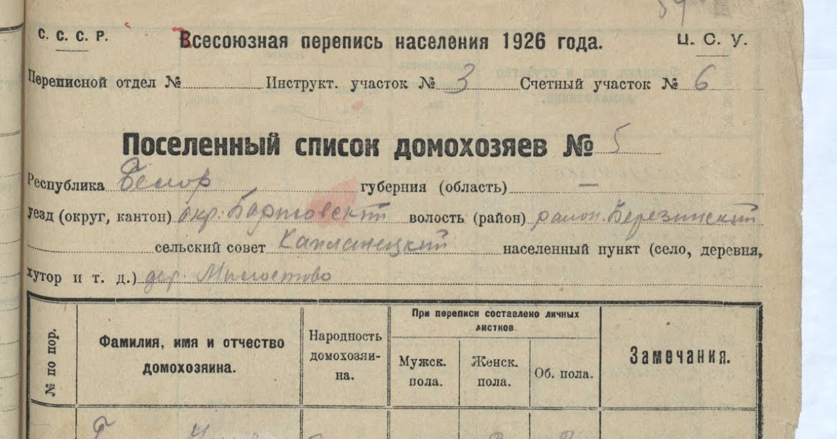 Перепись пофамильно. Поселенный список домохозяев 1926. Поселенный список домохозяев 1926 Беларусь. Перепись населения 1926 года. Личные листки переписи 1926 года.