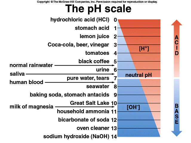 Stomach acid january 2015