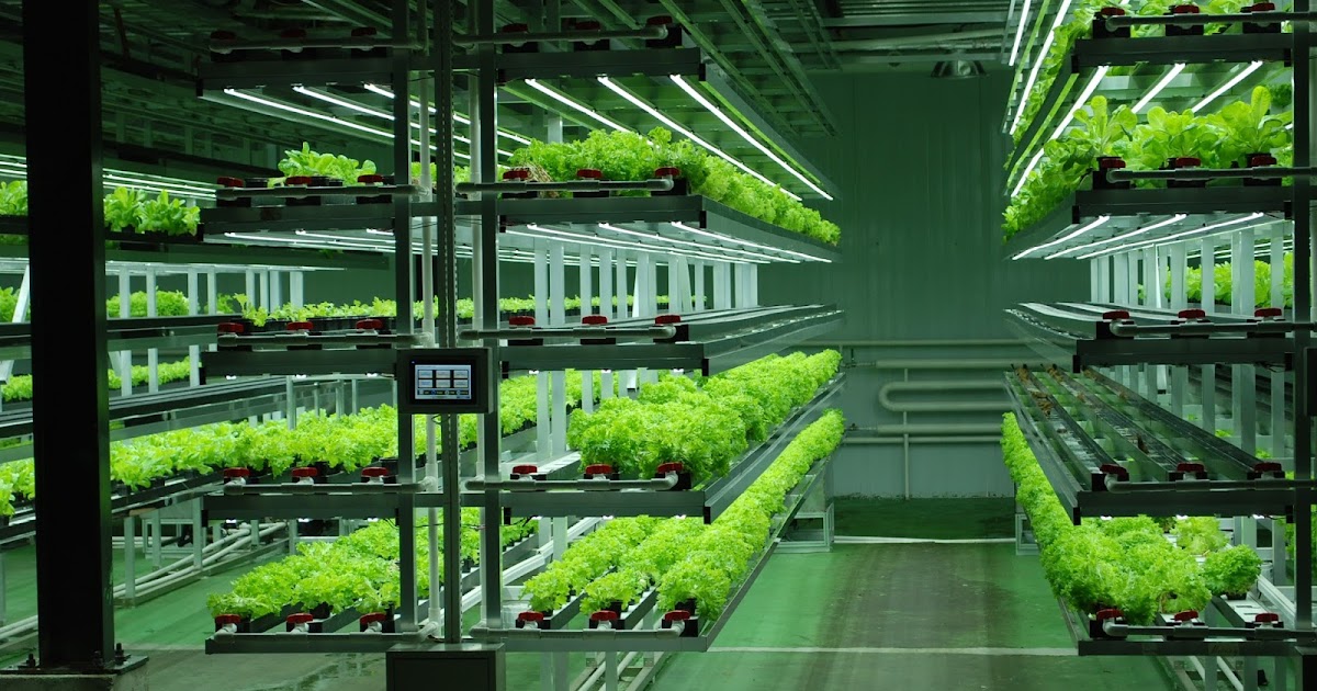 Garden Earth Beyond sustainability Do we need farmfree food?