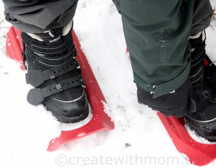 msr tyker snowshoes canada