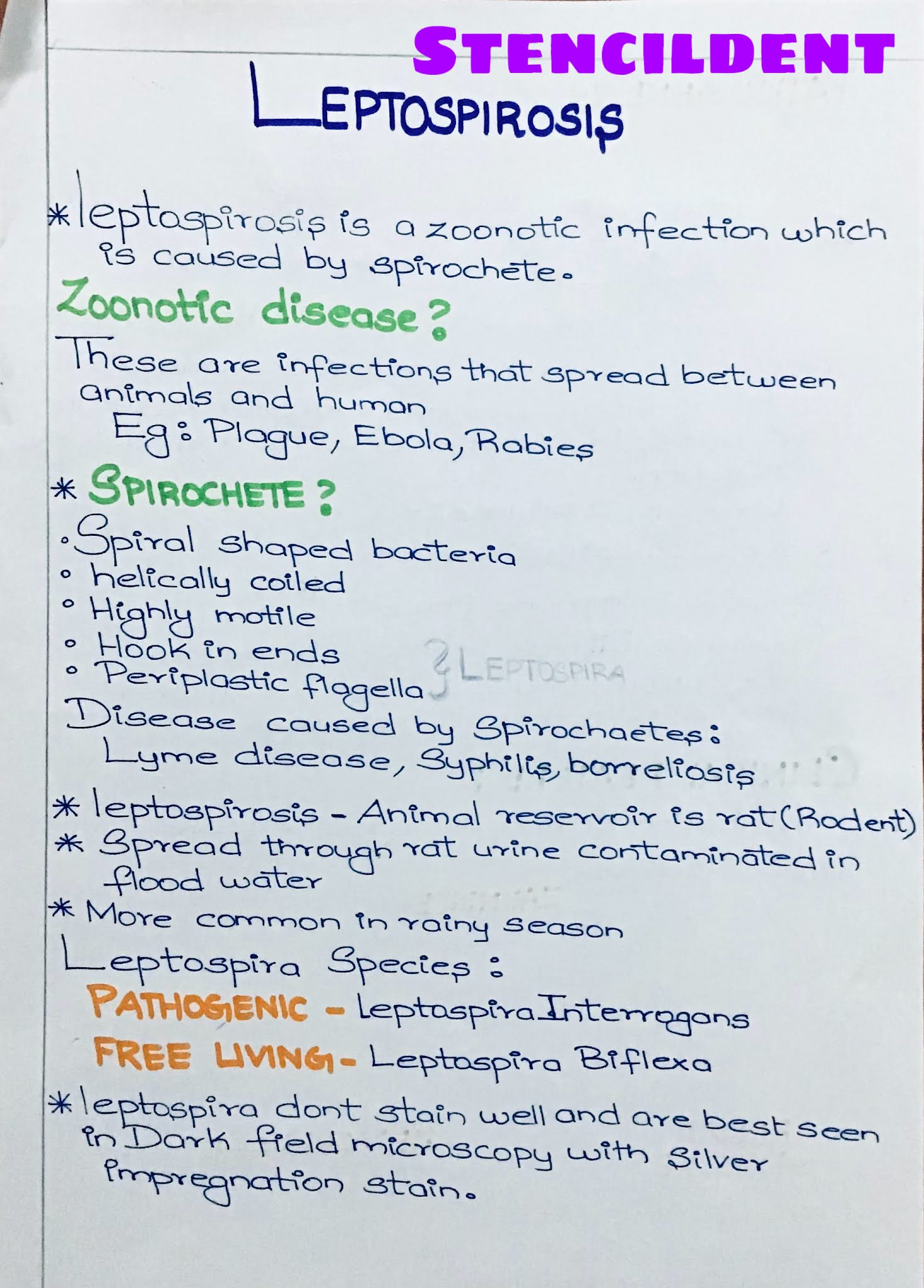 Leptospirosis cause,pathogenesis,clinical features,diagnosis and treatment