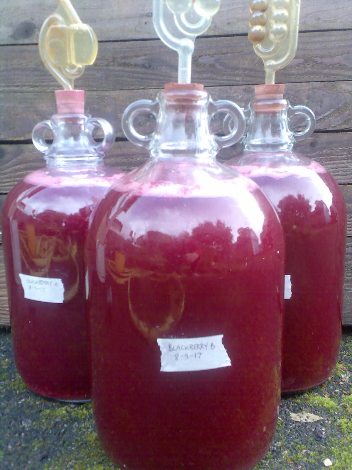 Ben's Adventures in Wine Making Blackberry Wine 2017 The Making Of...