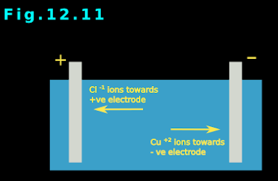 positive ions in the electrolyte moves towards the negative electrode and the negative ions move towards the positive electrode.