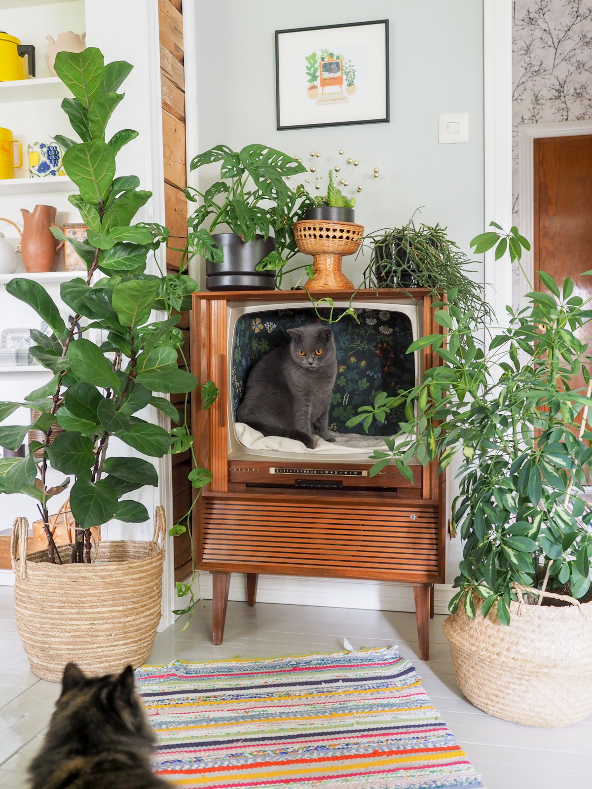 suosituimmat blogijutut