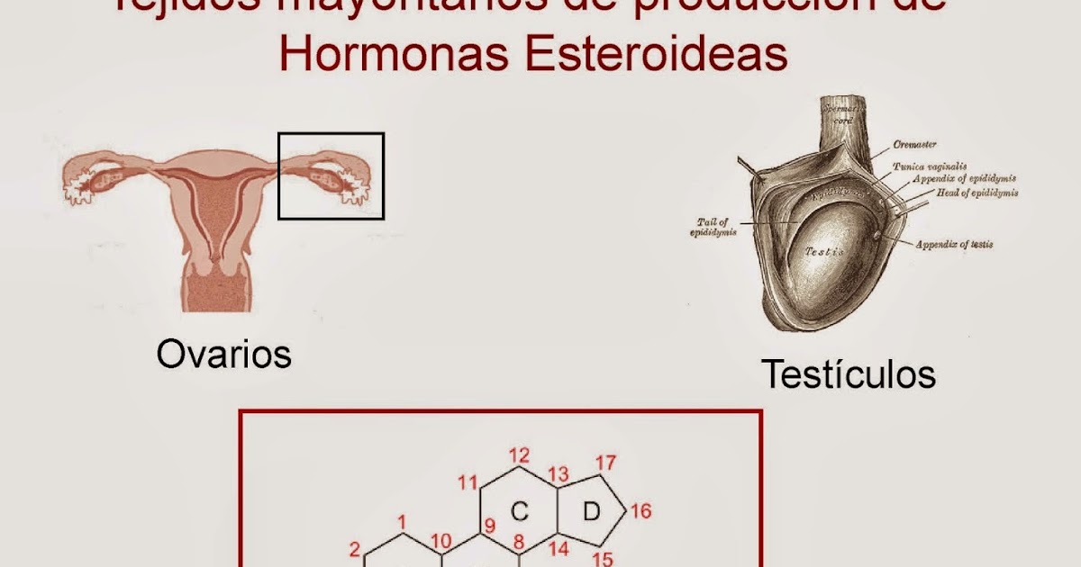 Las ideas más y menos efectivas en danabol 10 mg Si danabol 10 mg es tan terrible, ¿por qué no lo muestran las estadísticas?
