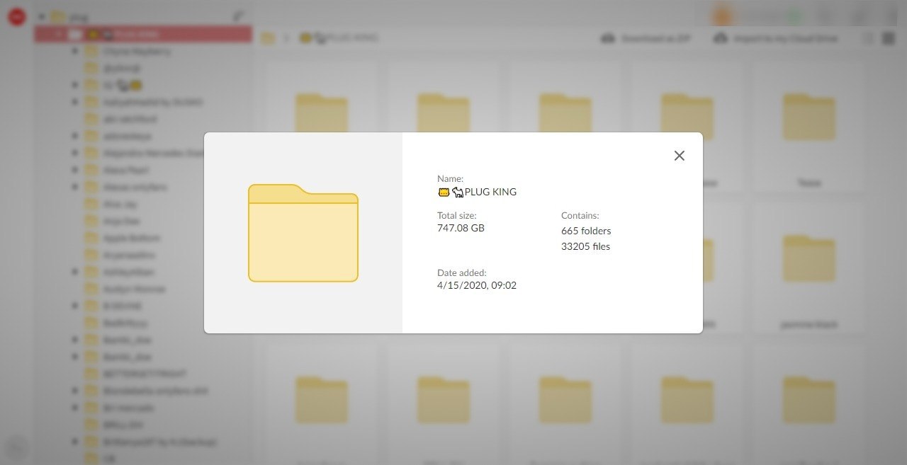 Onlyfans mega.nz 2021