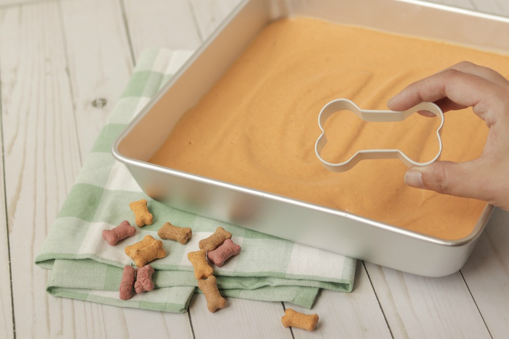 Frozen Dog Bones Recipe
