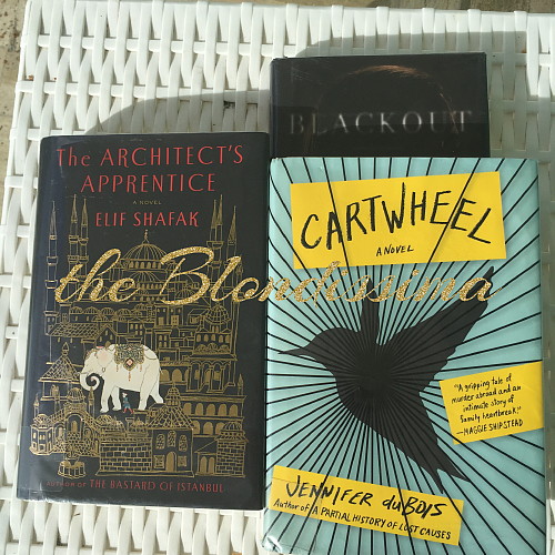 Books I Read on Vacation The Blondissima