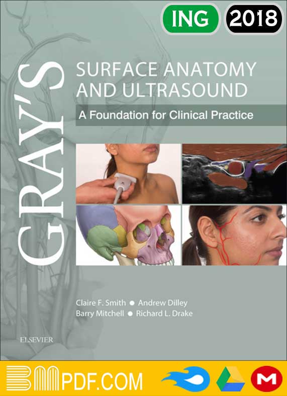 Gray's surface anatomy and ultrasound PDF, hUMAN anatomy