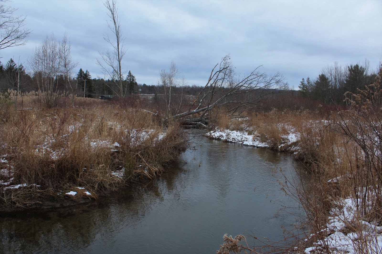 Walking Man 24 7 Town of Sand Lake Walking Trail(Sand Lake, Rensselaer