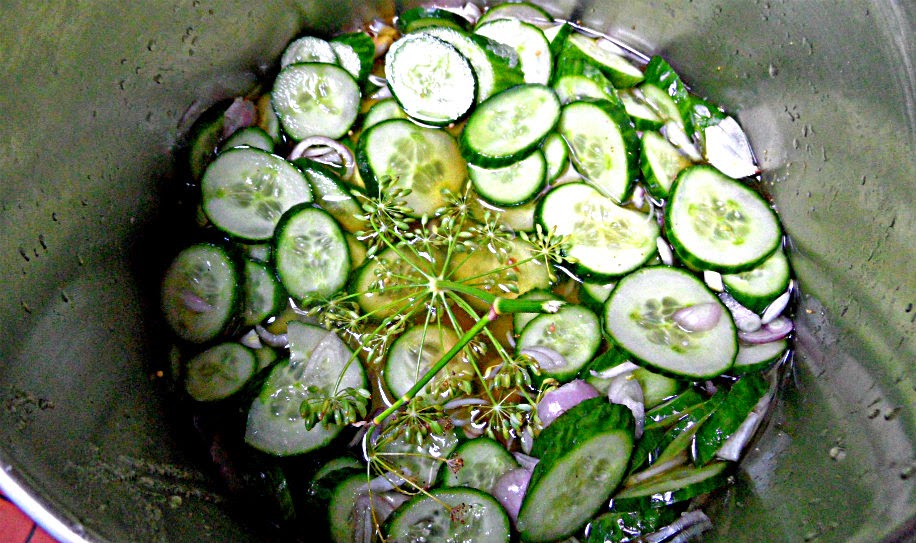 Chez Maximka Cucumbers pickled with mustard seed and turmeric