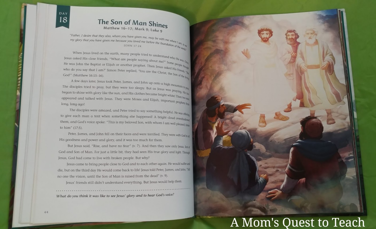 A Mom's Quest to Teach: Learning More about Jesus: A Review of The ...