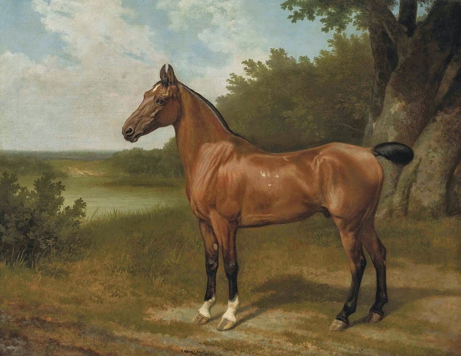 Джордж стаббс картины животные