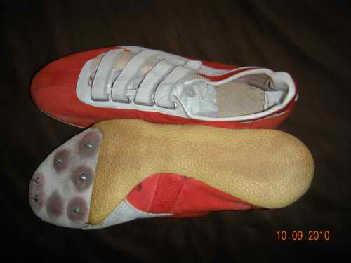 puma brush spikes 1968