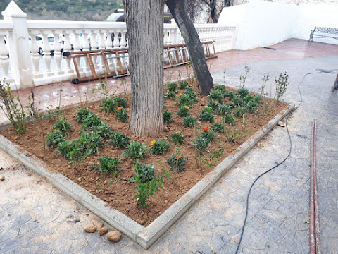 Preparación de terreno para colocar plantas en la población valenciana de Millares