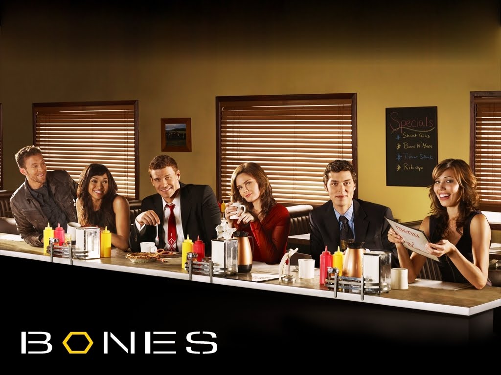 Bones B&B Sinopse das Temporadas