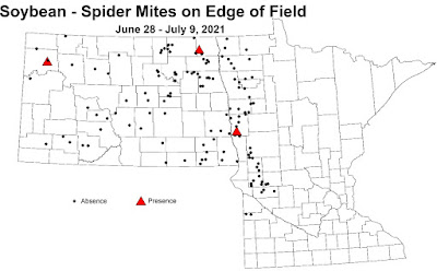 North Dakota and Minnesota map of locations and results of fields scouted for two-spotted spider mites.