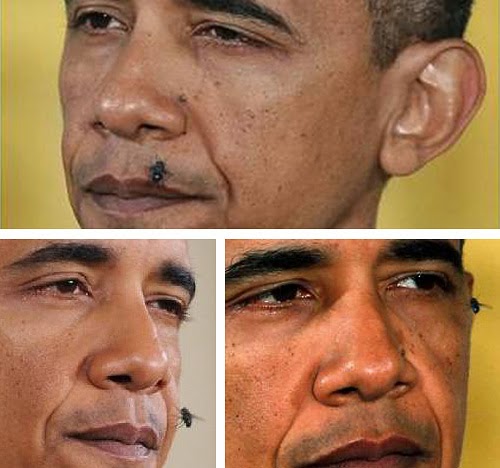 the Art of 12: Drones and Drones | OBAMA #1 "Painted Drone"