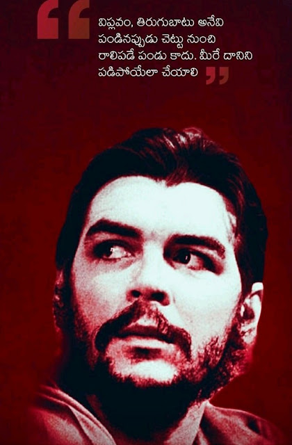 Che Guevara Quote _ Telugu