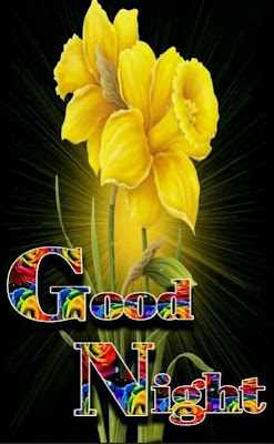 good night good night