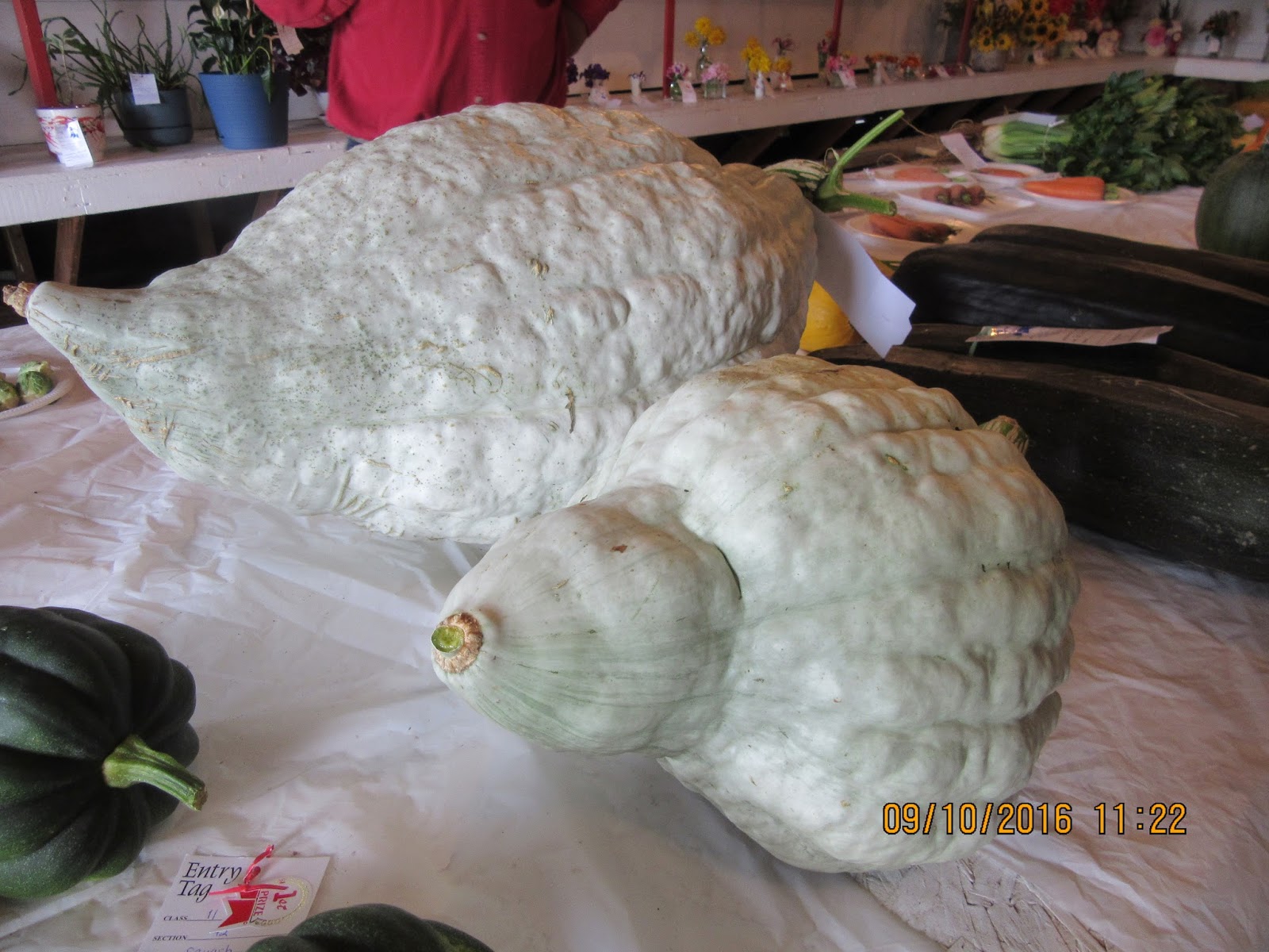 northernbliss: BRUCE MINES FALL FAIR