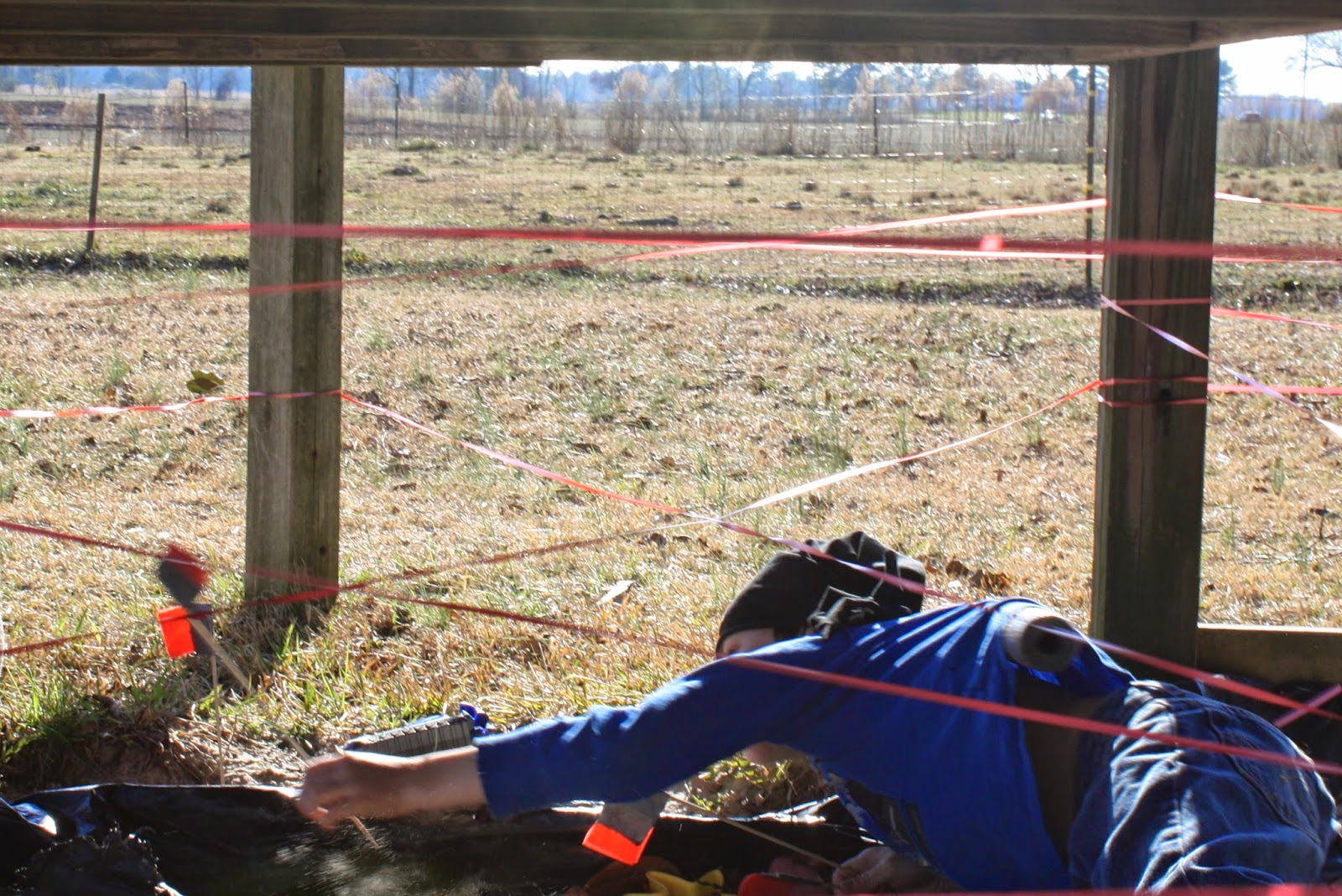 Let&rsquo;s Have A Party!: Ninja party