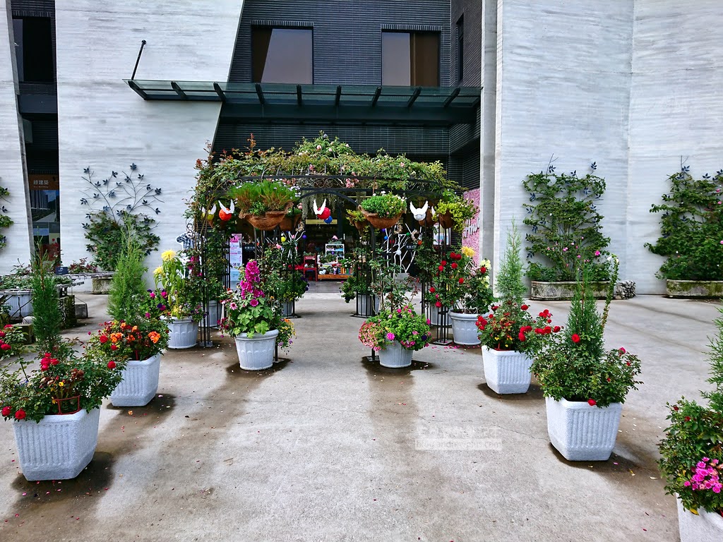 苗栗景點,雅聞七里香玫瑰森林,苗栗親子旅遊