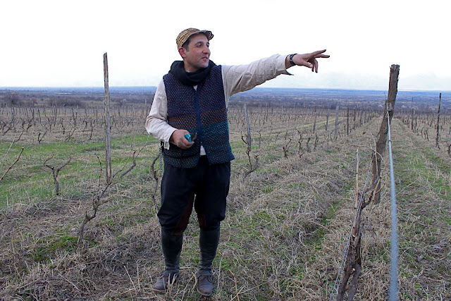 Nika, wine maker in Georgia,