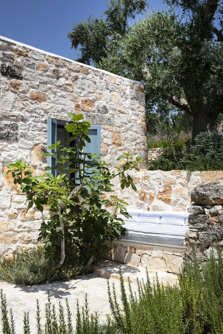 ����� ������ ���� paul%2Braeside%2