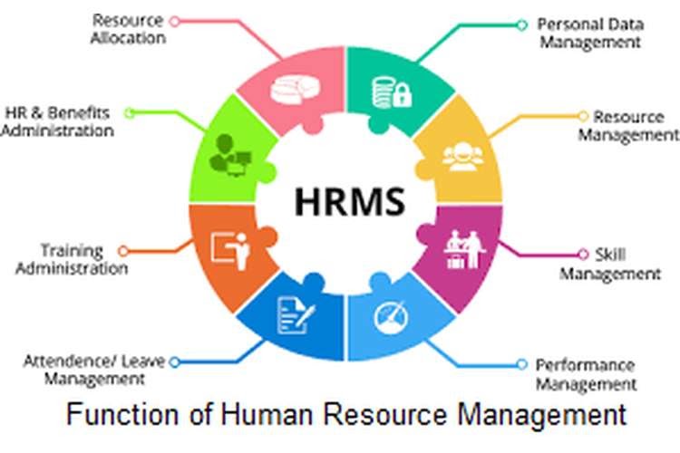6 Functions of Human Resource Management - Project Management | Small ...