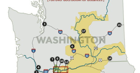 Why Jon Rimmerman is a Rock Star