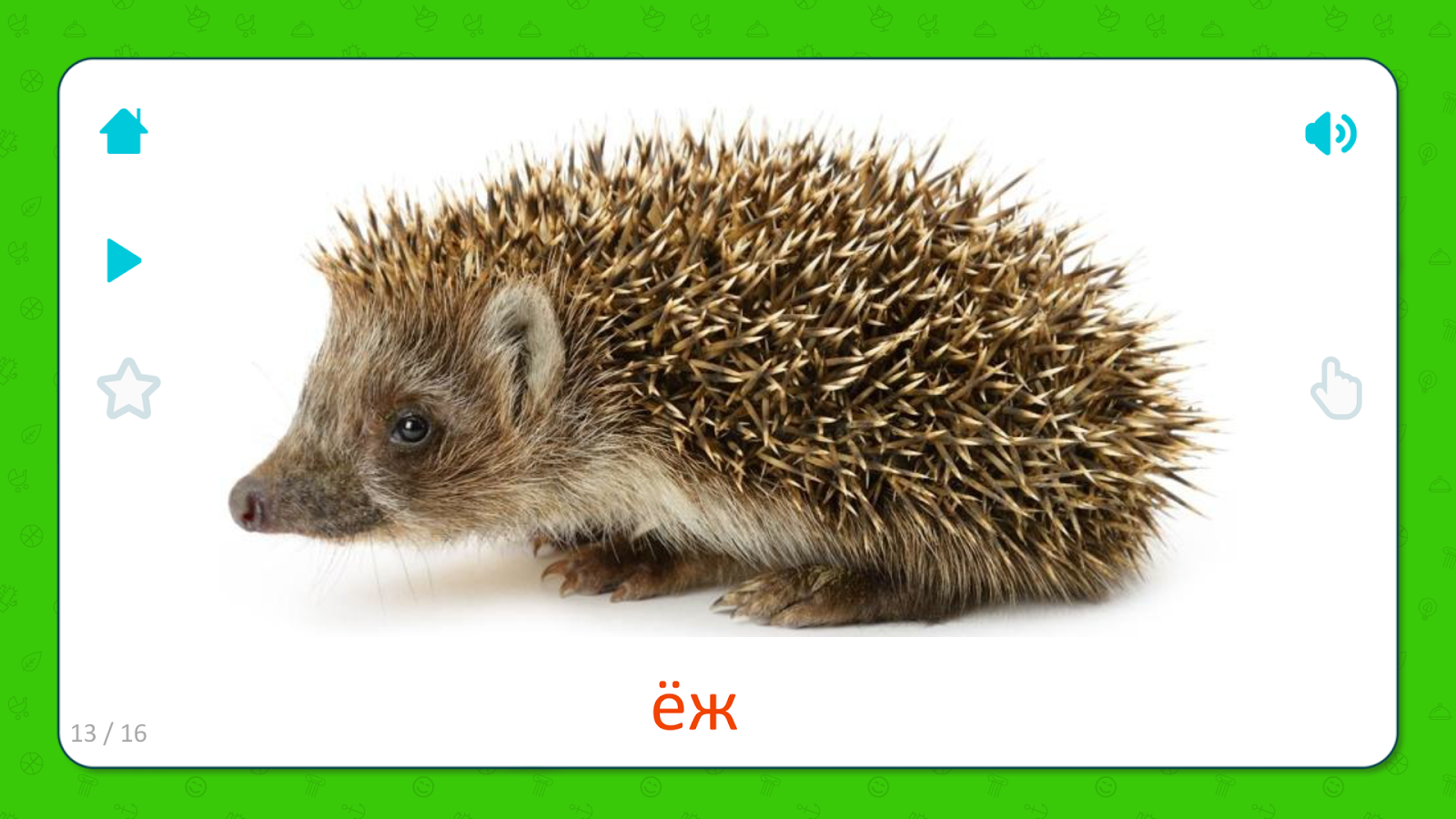 Еж карточка для детей. Еж карточка для детей. Карточки еж. Карточки еж. Карточки еж.
