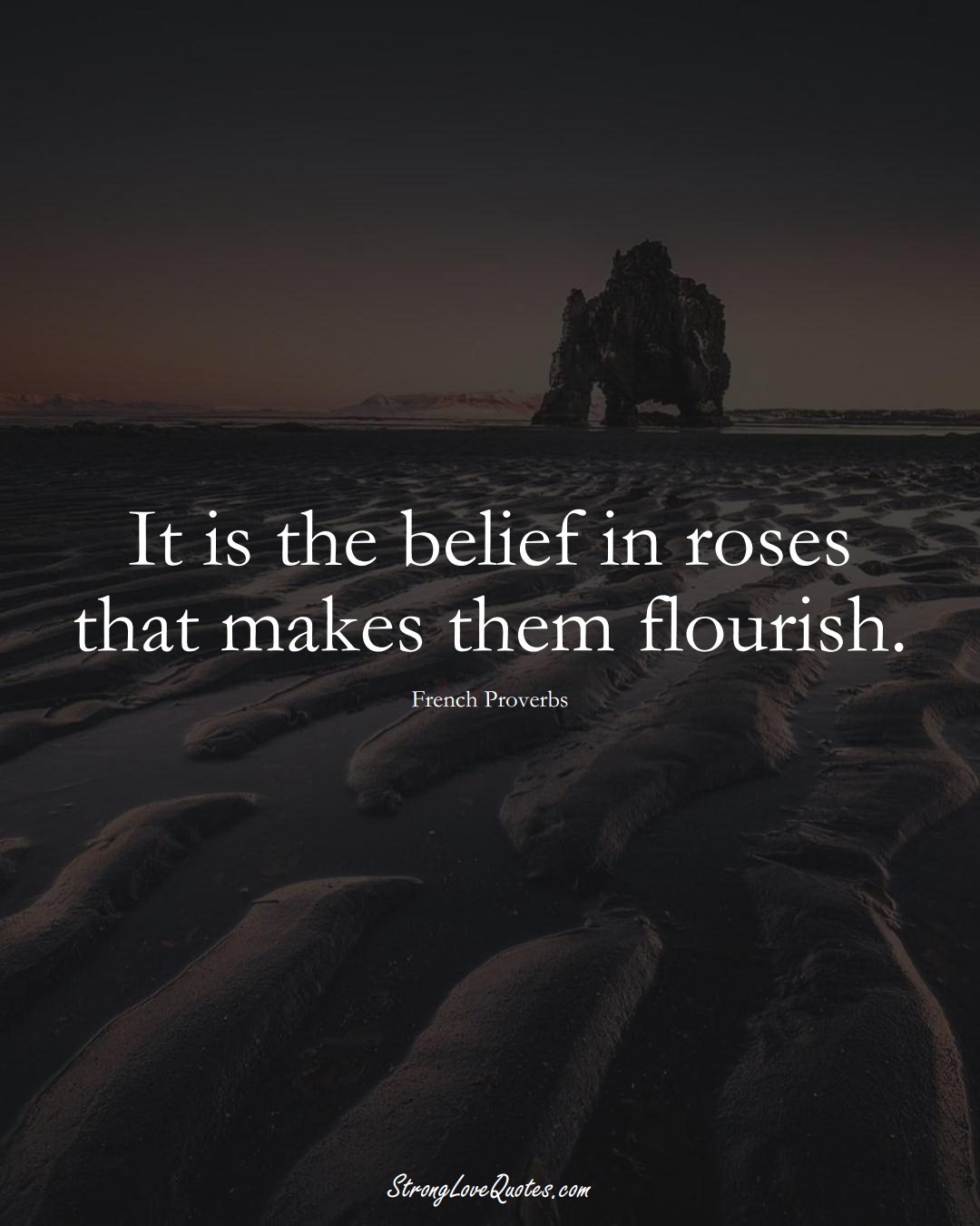 It is the belief in roses that makes them flourish. (French Sayings);  #EuropeanSayings