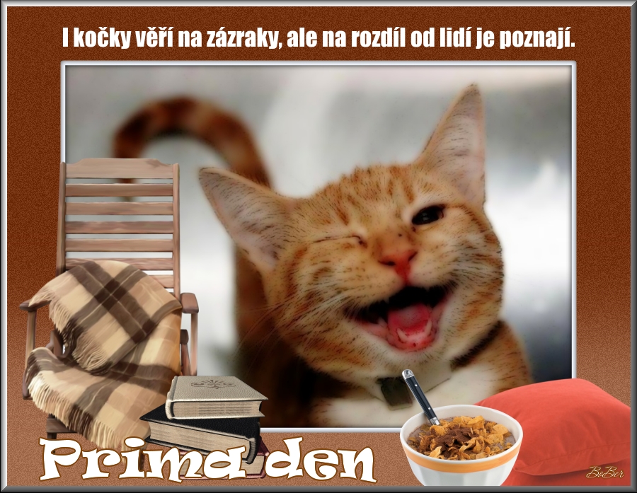 023den.jpg