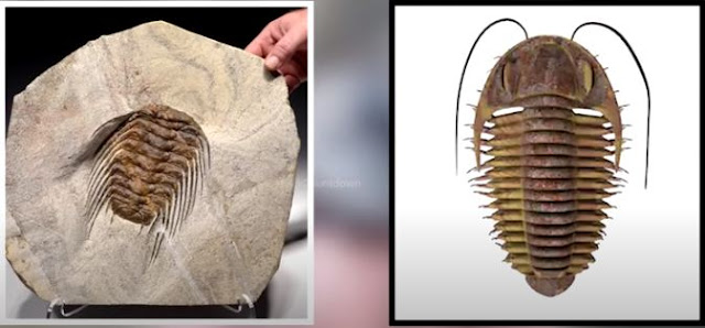 Strange Things Found Buried Strange Things Found Buried