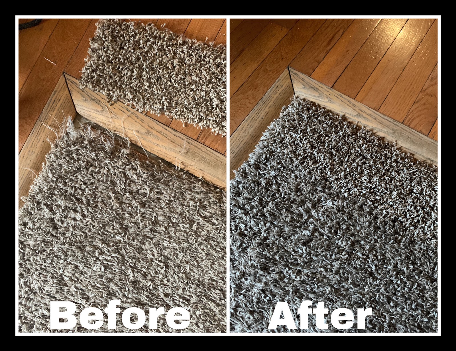 Premium Carpet Repair and Cleaning Carpet to Wood Transition Repair
