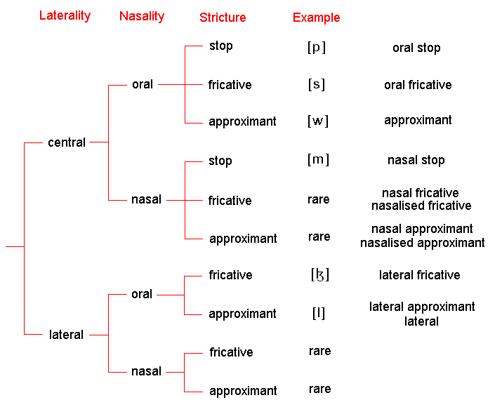 Manner And Place Of Articulation Chart