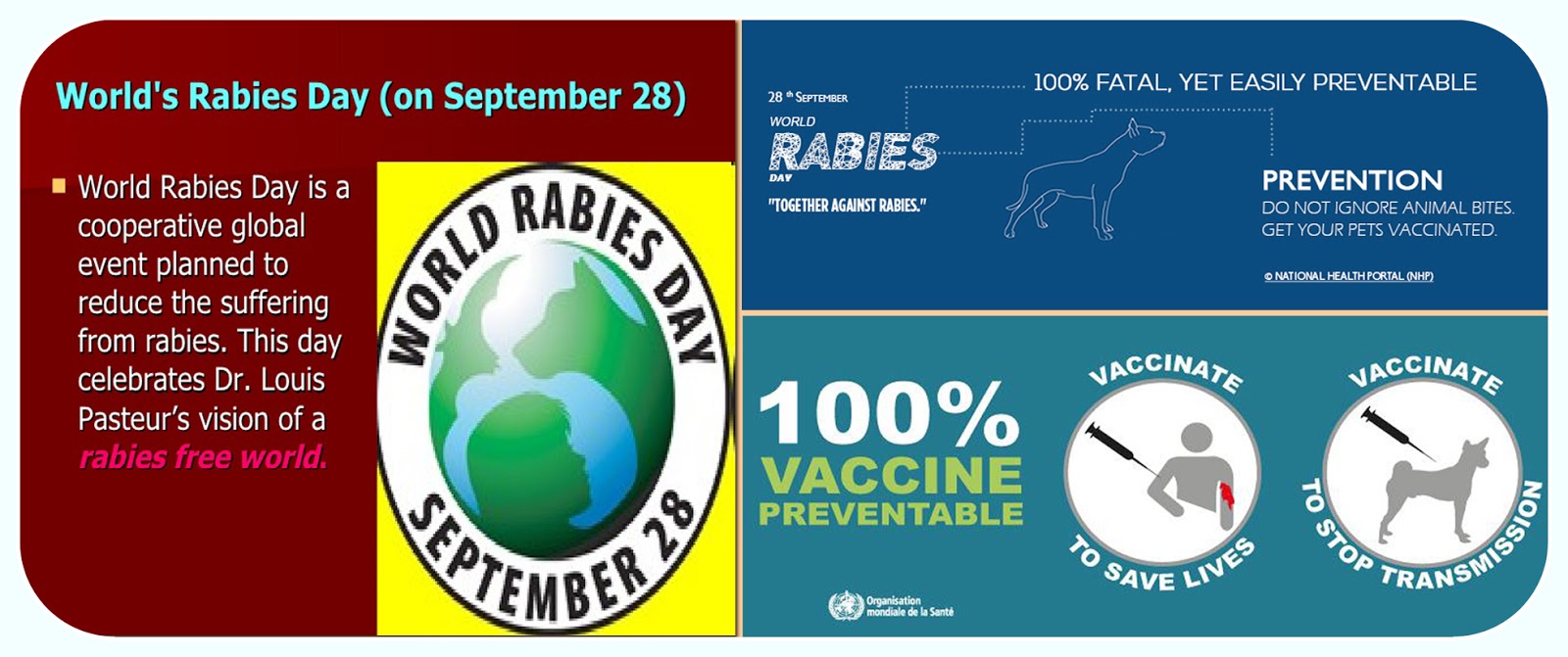 7 rabies ideas Aditya Library: World Rabies Day