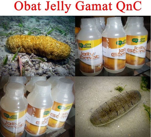 Obat Herbal Tuntaskan Asma