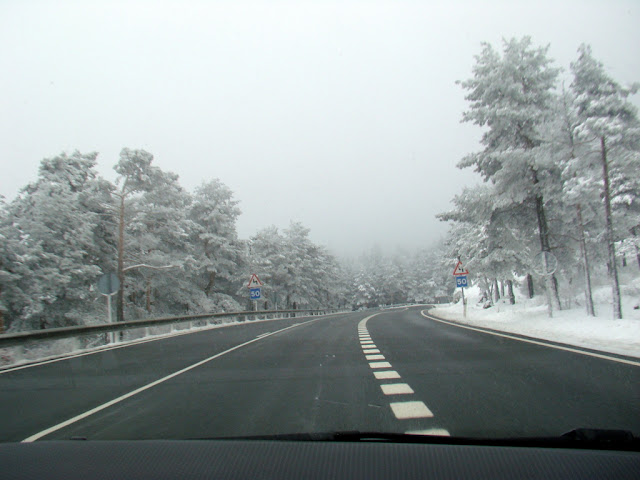 Sierra de Guadarrama: Alto del León.