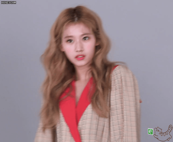 트와이스 화보찍는 사나