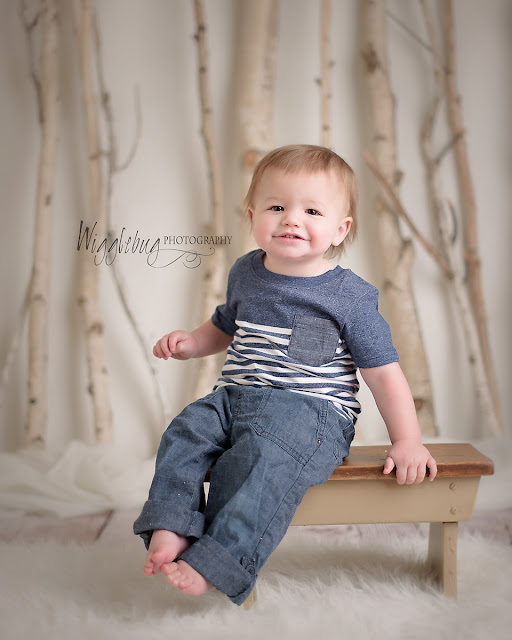 One Year Milestone session for a baby boy in DeKalb, IL professional newborn and child photographer