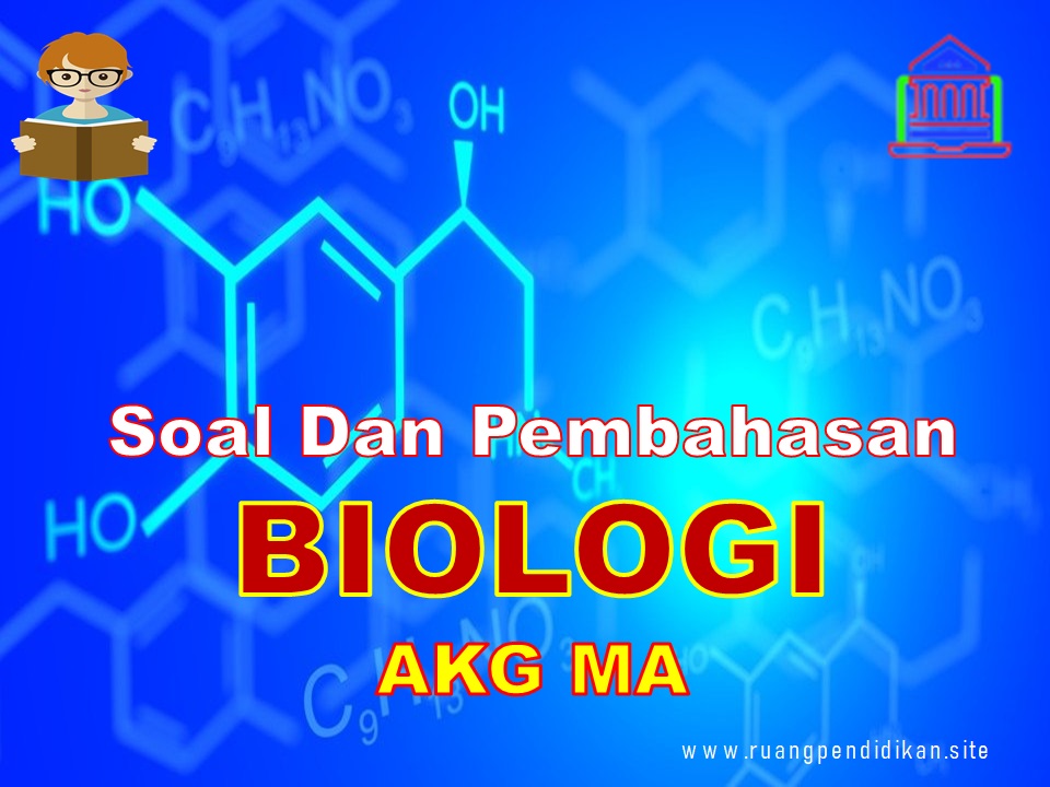 Contoh Soal Dan Pembahasan Akg Kompetensi Profesional Biologi Jenjang Ma Ruang Pendidikan