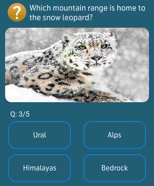 Which mountain range is home to the snow leopard?
