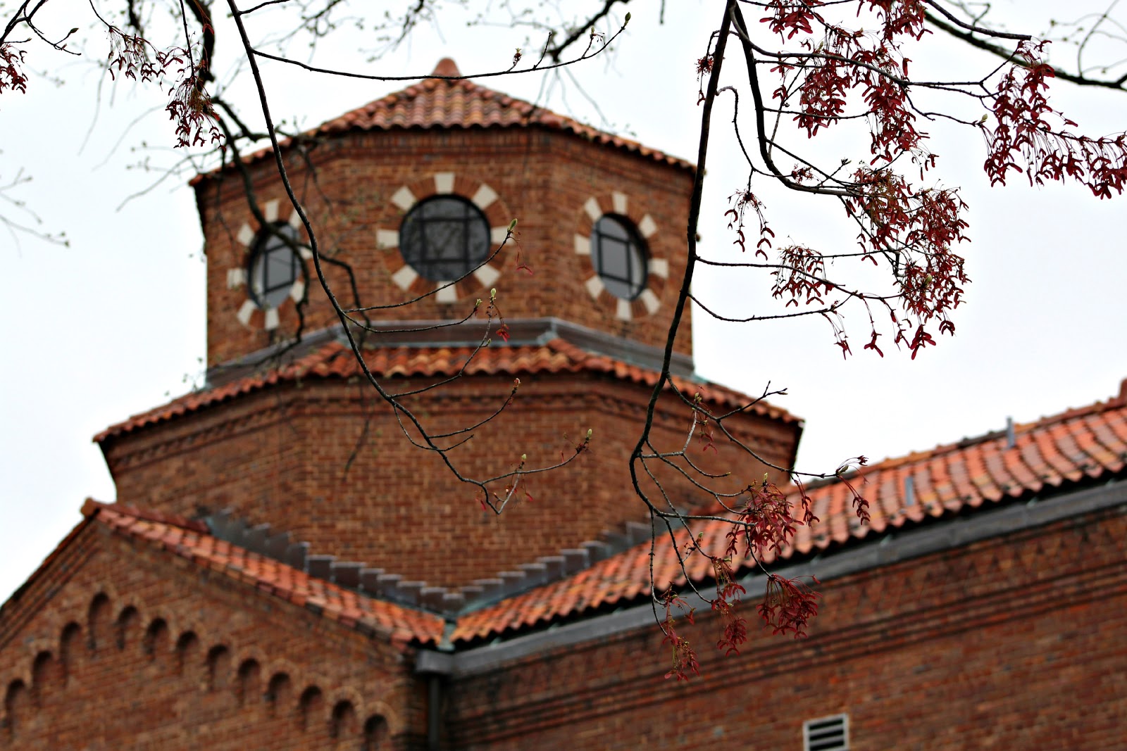 Around Roanoke, VA (A Daily Photo Blog): Reptile House