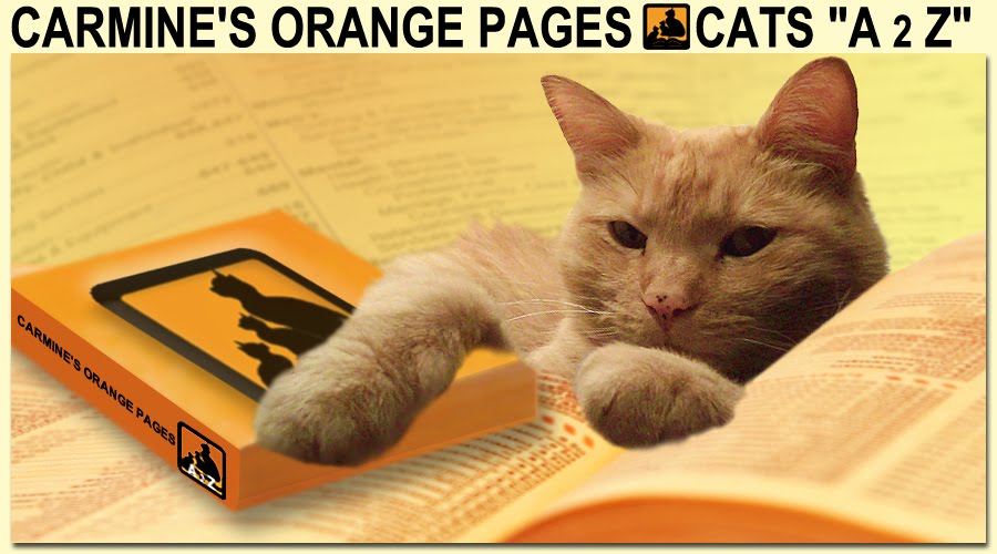 Carmine's Orange Pages