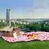 Um Pic-Nic que todos vamos querer fazer.