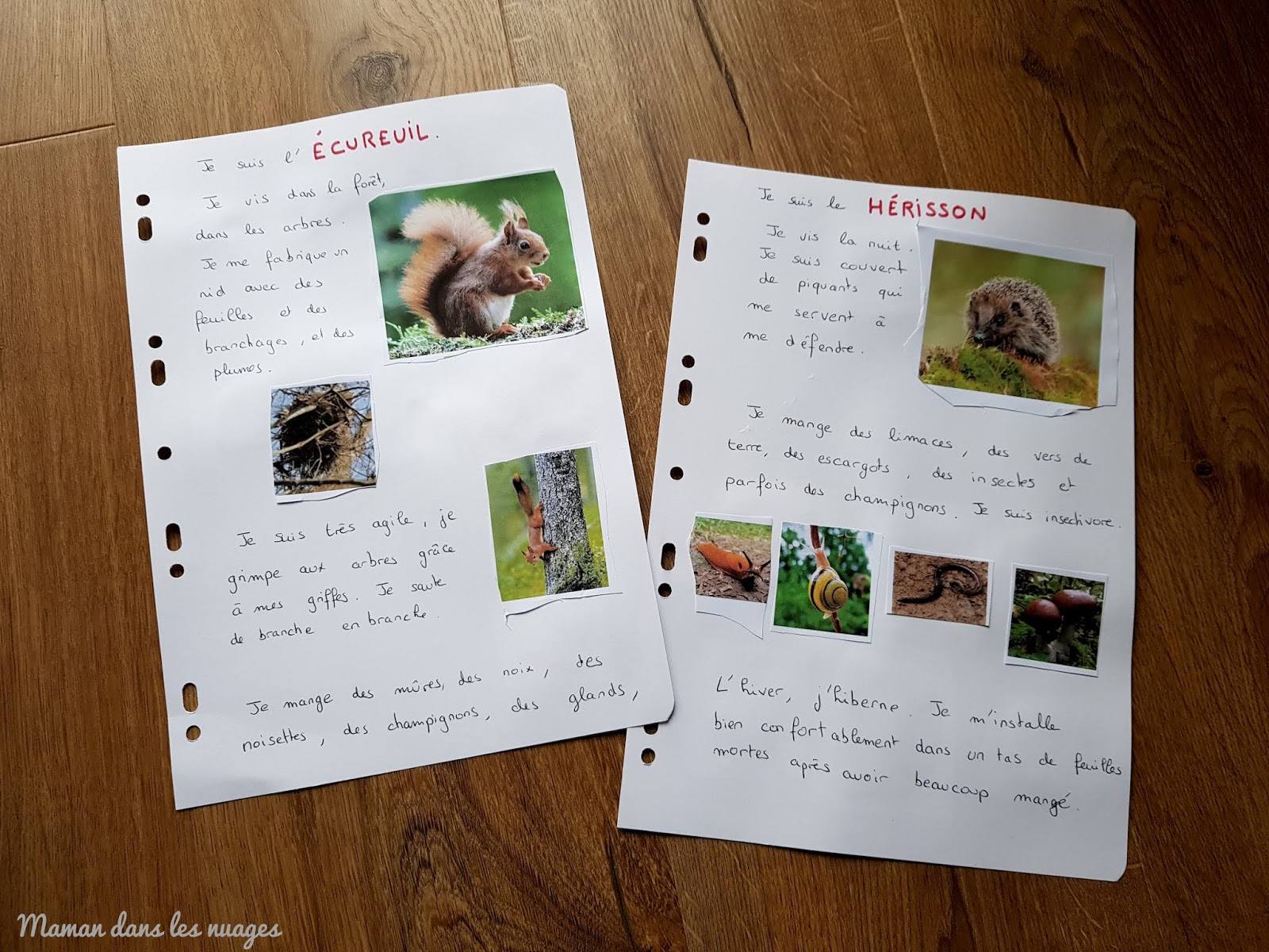 Maman dans les nuages: Exploitation d'album : A trois on a moins froid